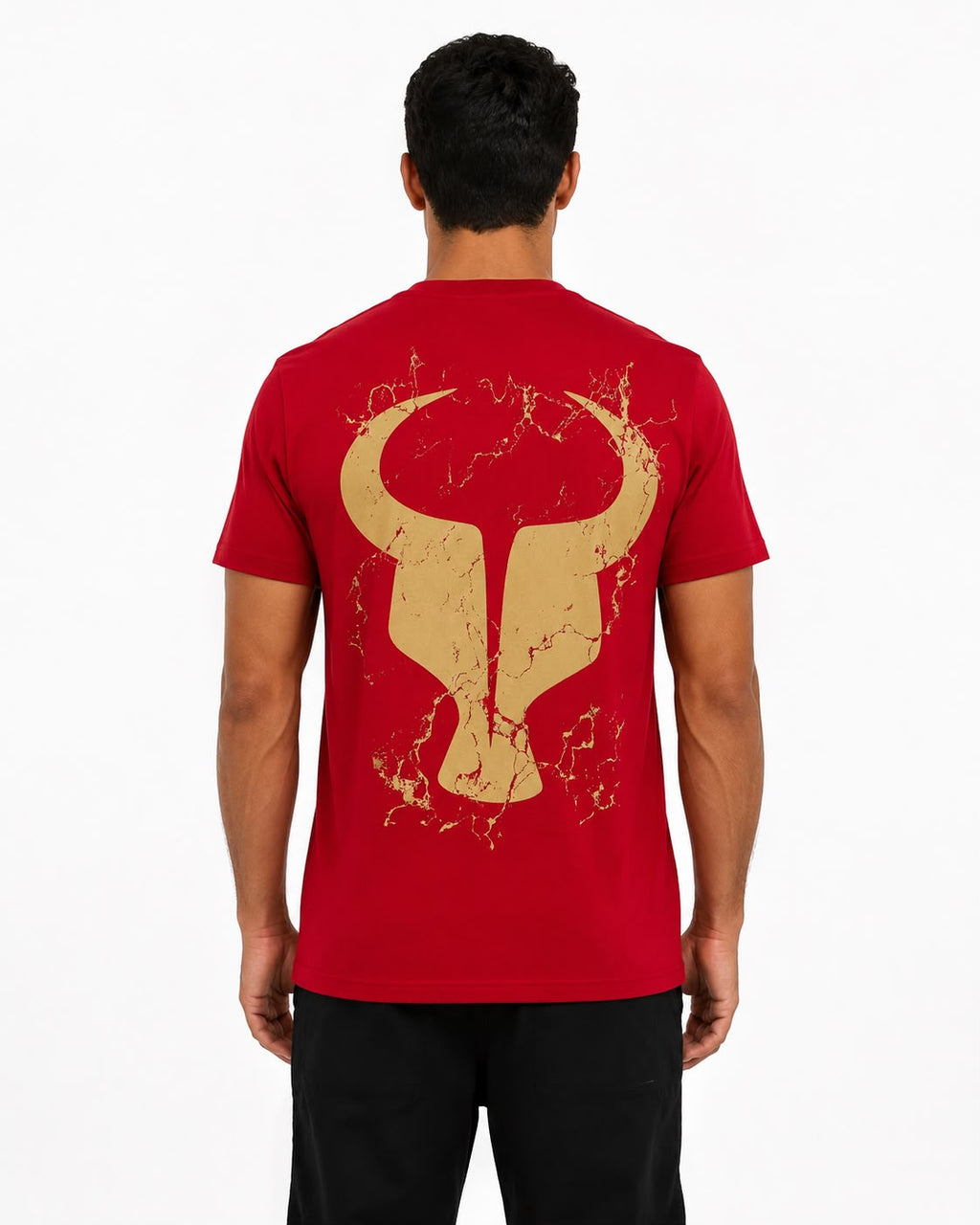 T-Shirt Toro HARDEST WORKER