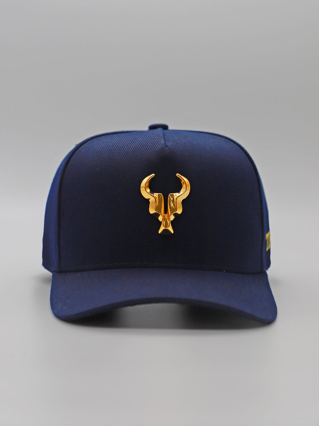 Boné Toro Azul Special Edition
