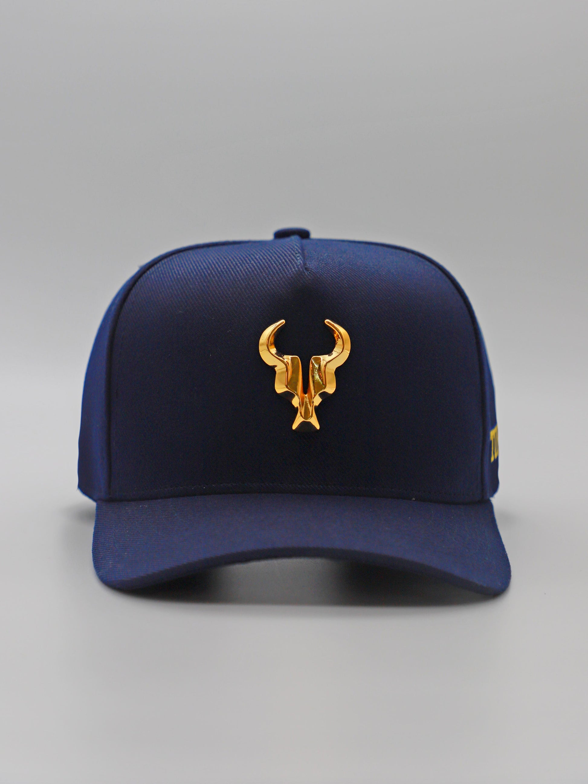 Boné Toro Azul Special Edition