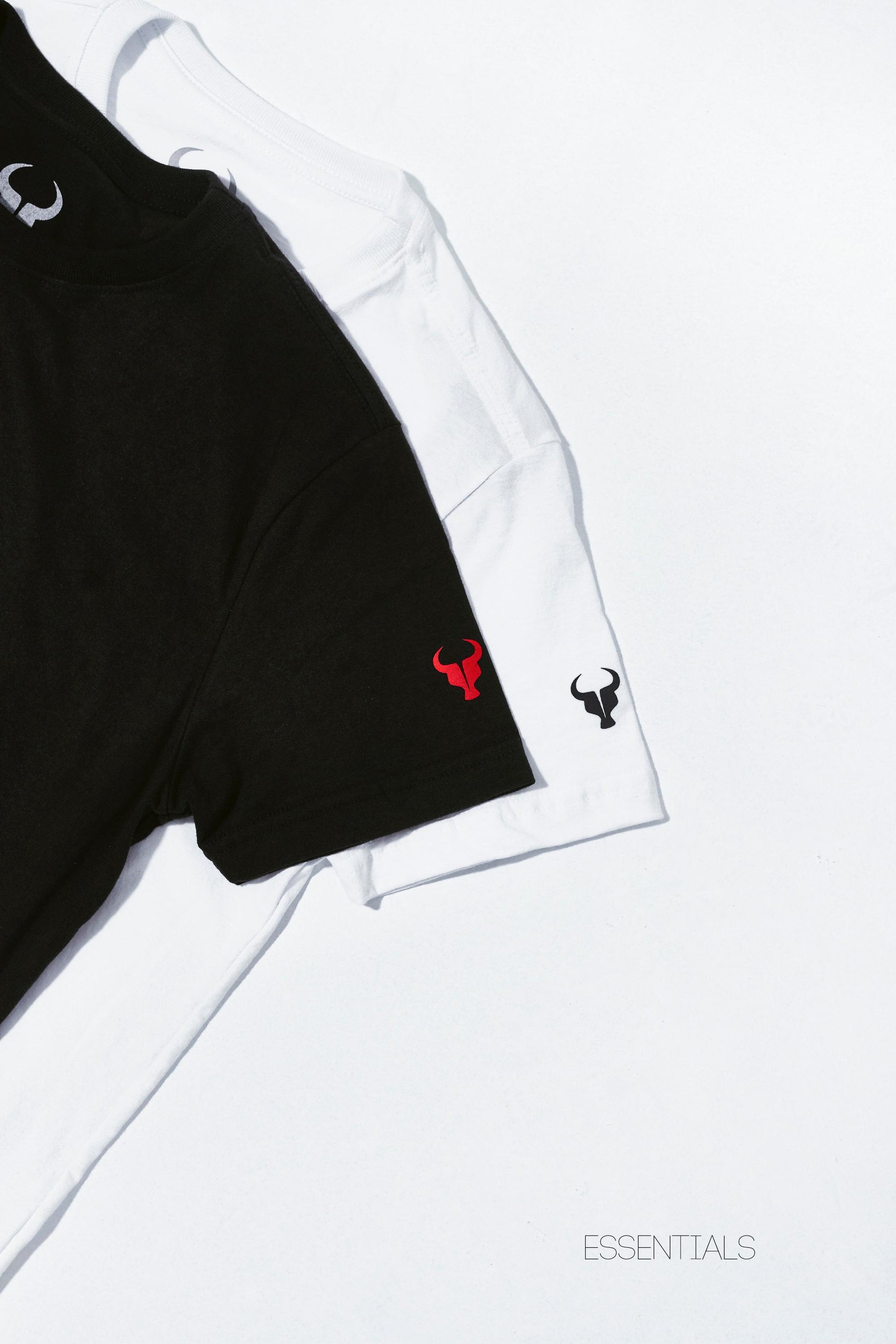 Kit 2 T-Shirt Toro Le Classique